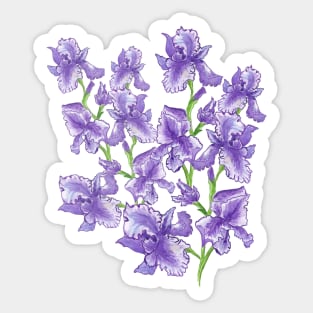 FLOWERS Irises-Bouquet of irises-Beautiful irises Sticker